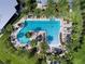 Top-down view of a stunning community pool with palm trees and lounge chairs at 15429 Caravan Ave, Odessa, FL 33556