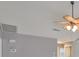 Bright living room boasts high ceilings and a unique ceiling fan fixture at 1806 Wolf Laurel Dr, Sun City Center, FL 33573