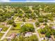 Aerial view of a neighborhood with mature trees and lush landscaping on a sunny day at 24076 Ragan Dr, Brooksville, FL 34601