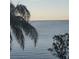 Peaceful water view with a bridge in the distance, framed by palm trees and serene scenery at 2773 Via Cipriani # 1322A, Clearwater, FL 33764