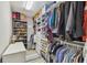 Spacious walk-in closet with ample shelving, hanging space, and built in storage at 2815 W Estrella St, Tampa, FL 33629