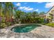 In-ground pool is surrounded by lush tropical landscaping and a stone patio area at 646 16Th Ne Ave, St Petersburg, FL 33704
