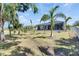 Expansive backyard with lush Zoysia grass and palm trees surrounding the property at 706 Manns Harbor Dr, Apollo Beach, FL 33572