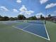 Multiple pickleball courts are a great amenity for the community at 754 71St N Ave, St Petersburg, FL 33702