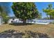 View of the backyard from a distance, showing the pool, patio, shade tree, and privacy fence at 827 Virginia St, Dunedin, FL 34698
