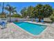 Refreshing pool surrounded by pavers, lush landscaping, and plenty of seating at 827 Virginia St, Dunedin, FL 34698
