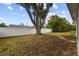 Spacious backyard features a mature tree and a combination of privacy and chain link fencing at 8512 Longboat Ln, Hudson, FL 34667