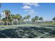 Outdoor basketball court surrounded by trees, offering a great space for sports and recreation at 10008 Celtic Ash Dr, Ruskin, FL 33573