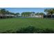 Spacious dog park with lush green grass, providing a perfect space for pets to run and play freely at 10008 Celtic Ash Dr, Ruskin, FL 33573