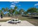 Community park featuring picnic tables, mature palm trees, and lush green space for outdoor enjoyment at 10008 Celtic Ash Dr, Ruskin, FL 33573