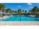 Inviting community pool with clear blue water, perfect for swimming laps and enjoying the sunny weather at 10008 Celtic Ash Dr, Ruskin, FL 33573