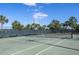 Well-maintained tennis court with pristine lines and a sturdy net, ready for a friendly match at 10008 Celtic Ash Dr, Ruskin, FL 33573