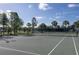 Well-kept tennis court surrounded by lush greenery, offering a serene environment for a competitive game at 10008 Celtic Ash Dr, Ruskin, FL 33573