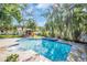 Beautiful backyard featuring a sparkling pool, mature palms and blue skies at 1226 Serpentine S Dr, St Petersburg, FL 33705