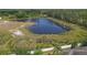 Picturesque aerial view capturing the serene lake, surrounding greenery, and residential area at 12937 Trade Port Pl, Riverview, FL 33579