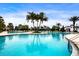 A large resort-style pool with palm trees, lounge chairs, and clear blue water creates a relaxing atmosphere at 16913 Clear Cork Dr, Wimauma, FL 33598