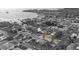 Black and white image with a color overlay featuring a well-maintained lawn and mature palm trees at 504 Driftwood E Dr, Palm Harbor, FL 34683