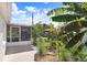 Backyard with beautiful plants, tropical vibes, and a screened-in porch at 6154 36Th N Ave, St Petersburg, FL 33710