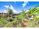 Secluded backyard with lush vegetation and tropical plants at 6154 36Th N Ave, St Petersburg, FL 33710