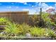 Beautiful backyard garden with pineapple plants and a wooden fence at 6154 36Th N Ave, St Petersburg, FL 33710