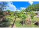 Lush backyard with tropical foliage, string lights, and plenty of space at 6154 36Th N Ave, St Petersburg, FL 33710