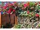 Overhanging bougainvillea over trellis and fence with brilliant pink flowers at 6154 36Th N Ave, St Petersburg, FL 33710