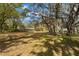 Large backyard, mature trees, and lush greenery create a serene outdoor space at 6718 Watson Rd, Riverview, FL 33578