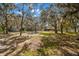 Lush backyard featuring trees, a barn, and a shed at 6718 Watson Rd, Riverview, FL 33578