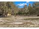 Equestrian facility with white sand riding area, paddock, and mature trees providing ample shade on a sunny day at 6718 Watson Rd, Riverview, FL 33578