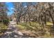 Long driveway leading to a home, partially obscured by mature trees draped with Spanish moss, offering a secluded setting at 6718 Watson Rd, Riverview, FL 33578