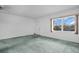 Bright living room with green carpet, neutral walls, and a large window offering natural light at 7321 Central Ave # 203, St Petersburg, FL 33710