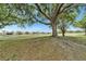 Picturesque view of a mature tree framing a serene pond and homes in the distance, showcasing the community's landscape at 1102 Emerald Dunes Dr, Sun City Center, FL 33573