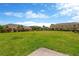 Expansive community lawn area showcasing lush green grass and well-maintained landscaping at 1210 Trailwater St, Ruskin, FL 33570