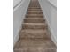 Carpeted staircase with white risers and handrail at 13821 Kinsale St, Riverview, FL 33579