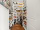 Walk-in pantry with ample shelving for organized storage of food items at 14209 Quintessa Ln, Lithia, FL 33547