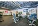 Fitness center featuring stationary bikes, weights, and a television at 1522 Riverdale Dr, Oldsmar, FL 34677