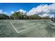 Outdoor tennis courts are ready for a match in this community at 1522 Riverdale Dr, Oldsmar, FL 34677