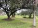 Expansive backyard, showcasing mature trees and lush green grass, perfect for outdoor activities at 24549 Nova Ln, Punta Gorda, FL 33980