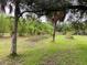 Open green space featuring beautiful mature trees, bamboo, and lush landscape at 24549 Nova Ln, Punta Gorda, FL 33980