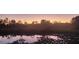 Scenic pond reflecting a vibrant sunset, surrounded by natural vegetation and trees at 24549 Nova Ln, Punta Gorda, FL 33980