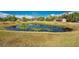 Scenic view of a serene pond with lush vegetation and surrounding greenery at 24549 Nova Ln, Punta Gorda, FL 33980