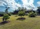 Lush green yard with various trees and plants at 24549 Nova Ln, Punta Gorda, FL 33980