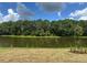 Lawn, lush backyard with a tranquil lake view at 3319 Guanabana Xing, Wesley Chapel, FL 33543
