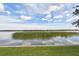 Peaceful lake view showcasing natural reeds reflecting the sky at 7903 Seminole Blvd # 2204, Seminole, FL 33772