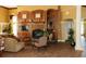 Cozy living room showcases a fireplace, built-in shelving, and comfortable seating at 27130 Firebush Dr, Wesley Chapel, FL 33544
