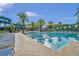 Community pool featuring lap lanes, lounge chairs and palm trees at 28683 Lucero Ln, Wesley Chapel, FL 33543