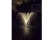 A beautifully lit fountain in a pond at night with a home visible in the background at 4611 Duhme Rd # 1A, St Petersburg, FL 33708