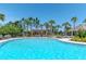 Large community pool features palm trees, a pergola with seating, and plenty of space for lounging at 7019 Wiseman Run Dr, Sun City Center, FL 33573