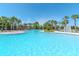 Large community pool with palm trees, pergola, and ample space for residents to enjoy the outdoors at 7019 Wiseman Run Dr, Sun City Center, FL 33573
