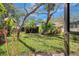 Serene backyard featuring lush greenery and mature trees, creating a private oasis at 107 Parkside Colony Dr, Tarpon Springs, FL 34689